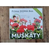 Prima DOMA Box - MUŠKÁTY - červené