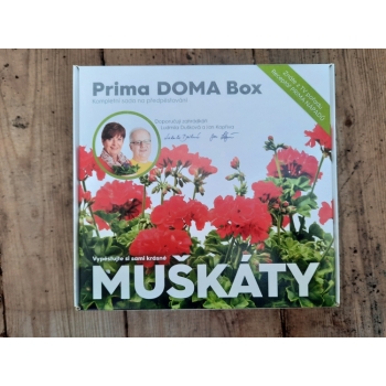 Prima DOMA Box - MUŠKÁTY - červené